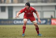 24 January 2016; Tommy O'Donnell, Munster. European Rugby Champions Cup, Pool 4, Round 6, Benetton Treviso v Munster. Stadio Comunale di Monigo, Treviso, Italy. Picture credit: Diarmuid Greene / SPORTSFILE