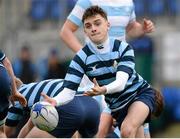 29 January 2016; Liam Salmon, Castleknock College. Bank of Ireland Leinster Schools Senior Cup 1st Round, Blackrock College v Castleknock College, Donnybrook Stadium, Donnybrook, Dublin. Picture credit: Seb Daly / SPORTSFILE