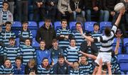 31 January 2016; Castleknock College supporters watch on as Conor Cagney, Belvedere College, wins a line-out. Bank of Ireland Leinster Schools Junior Cup, Round 1, Belvedere College v Castleknock College, Donnybrook Stadium, Donnybrook, Dublin. Picture credit: Ramsey Cardy / SPORTSFILE