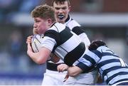31 January 2016; Action from the Bank of Ireland Leinster Schools Junior Cup, Round 1, Belvedere College v Castleknock College, Donnybrook Stadium, Donnybrook, Dublin. Picture credit: Ramsey Cardy / SPORTSFILE