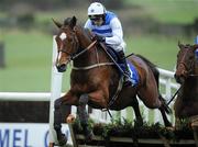 18 November 2009; Fionnegas, with Ruby Walsh up, jumps the last on their way to winning the Irish National Hunt Stallion Owners European Breeders Fund Novice Hurdle. Powerstown Park Racecourse, Clonmel, Co Tipperary. Picture credit: Matt Browne / SPORTSFILE