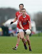 31 January 2016; Jim McEneaney, Louth. Allianz Football League, Division 4, Round 1, Louth v London. Louth Centre of Excellence, Darver, Co. Louth. Photo by Sportsfile