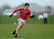 31 January 2016; Adrian Reid, Louth. Allianz Football League, Division 4, Round 1, Louth v London. Louth Centre of Excellence, Darver, Co. Louth. Photo by Sportsfile