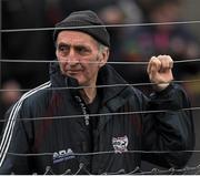 31 January 2016; A Cork supporter looks on as the teams warm up before the game. Allianz Football League, Division 1, Round 1, Cork v Mayo, Páirc Ui Rinn, Cork. Picture credit: Eoin Noonan/SPORTSFILE