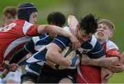 3 February 2016; Daniel Hurley, Crescent College, is tackled by Rockwell College's, Jamie Stone, left, and Paudie Feehan, Rockwell College. Munster Schools Senior Cup, Quarter-Final, Rockwell College v Crescent College Comprehensive, Clanwilliam RFC, Tipperary. Picture credit: Piaras Ó Mídheach / SPORTSFILE