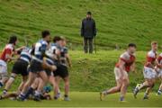 3 February 2016; A general view of a spectator during the game. Munster Schools Senior Cup, Quarter-Final, Rockwell College v Crescent College Comprehensive, Clanwilliam RFC, Tipperary. Picture credit: Piaras Ó Mídheach / SPORTSFILE