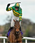 6 February 2016; Mark Walsh celebrates after winning the Irish Gold Cup on Carlingford Lough. Horse Racing from Leopardstown. Leopardstown, Co. Dublin. Picture credit: Matt Browne / SPORTSFILE
