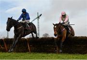 6 February 2016; Allblak, with Paul Townend up, left, and Let's Dance, with Ruby Walsh up, during the GAIN Spring Juvenile Hurdle. Horse Racing from Leopardstown. Leopardstown, Co. Dublin. Picture credit: Ramsey Cardy / SPORTSFILE