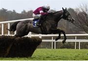 6 February 2016; Petit Mouchoir, with Paul Townend up, during the Deloitte Novice Hurdle. Horse Racing from Leopardstown. Leopardstown, Co. Dublin. Picture credit: Ramsey Cardy / SPORTSFILE