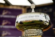 6 February 2016; A general view on the trophy for the Irish Gold Cup ahead of the race. Horse Racing from Leopardstown. Leopardstown, Co. Dublin. Picture credit: Brendan Moran / SPORTSFILE