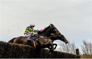 6 February 2016; Gilgamboa, with Barry Geraghty up, during the Irish Gold Cup. Horse Racing from Leopardstown. Leopardstown, Co. Dublin. Picture credit: Ramsey Cardy / SPORTSFILE