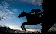 6 February 2016; Horses jump the final fence in the Leopardstown Inn Hunters Steeplechase. Horse Racing from Leopardstown. Leopardstown, Co. Dublin. Picture credit: Ramsey Cardy / SPORTSFILE