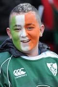 28 November 2009; An Ireland supporter during the game. Supporters at the Ireland v South Africa match. Croke Park, Dublin. Picture credit: Stephen McCarthy / SPORTSFILE
