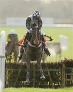 2 December 2009; Dunguib, with Brian O'Connell up, jumps the last on their way to winning the Bar One Racing Royal Bond Novice Hurdle. Fairyhouse Racecourse, Co. Meath. Picture credit: Matt Browne / SPORTSFILE