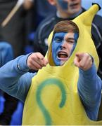 8 February 2016; A St Michael's College supporter dressed as a banana chants before the game. St Michael's College v Terenure College - Bank of Ireland Leinster Schools Senior Cup 2nd Round. Donnybrook Stadium, Donnybrook, Dublin. Picture credit: Sam Barnes / SPORTSFILE