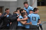 8 February 2016; Jack Kelly, hidden, St Michael's College, celebrates with team-mates after scoring his side's fourth try. St Michael's College v Terenure College - Bank of Ireland Leinster Schools Senior Cup 2nd Round. Donnybrook Stadium, Donnybrook, Dublin. Picture credit: Sam Barnes / SPORTSFILE