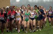 25 March 2001; Anne Keenan Buckley of Ireland, 805, competing in the Senior Women's Short Race at the IAAF World Cross Country Championships at the Wellington Hippodroom in Ostend, Belgium. Photo by Ray McManus/Sportsfile