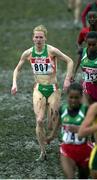 25 March 2001; Maria McCambridge of Ireland competing in the Senior Women's Short Race at the IAAF World Cross Country Championships at the Wellington Hippodroom in Ostend, Belgium. Photo by Ray McManus/Sportsfile