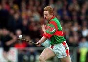 25 March 2001; Simon Whelahan of Birr during the Offaly County Senior Hurling Championship Final match between Birr and Seir Kieran at St Brendan's Park in Birr, Offaly. Photo by Brendan Moran/Sportsfile