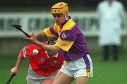 1 April 2001; Michael Jordan of Wexford during the Allianz GAA National Hurling League Division 1B Round 4 match between Wexford and Cork at at Bellefield in Enniscorthy, Wexford. Photo by Aoife Rice/Sportsfile