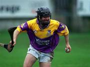 1 April 2001; Sean Flood of Wexford during the Allianz GAA National Hurling League Division 1B Round 4 match between Wexford and Cork at at Bellefield in Enniscorthy, Wexford. Photo by Aoife Rice/Sportsfile