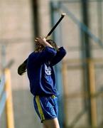 31 March 2001;  Sixmilebridge goalkeeper David Fitzgerald shows his dissapointment after his last minute penalty went over the bar for a point during the AIB All-Ireland Senior Club Hurling Championship Semi-Final Replay match between Graigue Ballycallan and Sixmilebridge at Semple Stadium in Thurles, Tipperary. Photo by Ray McManus/Sportsfile