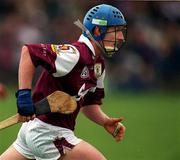 1 April 2001; Ollie Canning of Galway during the Allianz National Hurling League Division 1A Round 4 match between Galway and Limerick at Duggan Park in Ballinasloe, Galway. Photo by Damien Eagers/Sportsfile