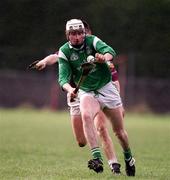 1 April 2001; Paul O'Grady of Limerick during the Allianz National Hurling League Division 1A Round 4 match between Galway and Limerick at Duggan Park in Ballinasloe, Galway. Photo by Damien Eagers/Sportsfile