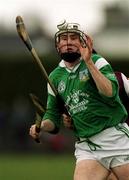 1 April 2001; Paul O'Grady of Limerick during the Allianz National Hurling League Division 1A Round 4 match between Galway and Limerick at Duggan Park in Ballinasloe, Galway. Photo by Damien Eagers/Sportsfile