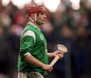 1 April 2001; TJ Ryan of Limerick during the Allianz National Hurling League Division 1A Round 4 match between Galway and Limerick at Duggan Park in Ballinasloe, Galway. Photo by Damien Eagers/Sportsfile