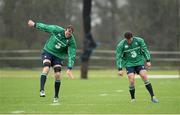 9 February 2016; Ireland's Devin Toner, left, and Rob Herring during squad training. Carton House, Maynooth, Co. Kildare. Photo by Sportsfile
