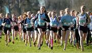 10 February 2016; Aine Kirwan, Loreto Kilkenny, competing in the Minor Girls 1500m at the GloHealth Leinster Schools' Cross Country. Santry Demesne, Dublin. Picture credit: Seb Daly / SPORTSFILE