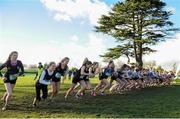 10 February 2016; A general view of the start of the Senior Girls 2500m at the GloHealth Leinster Schools' Cross Country. Santry Demesne, Dublin. Picture credit: Seb Daly / SPORTSFILE