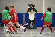 10 February 2016; The UL Wolves mascot looks on during the WSCAI Futsal Finals. University of Limerick, Limerick. Picture credit: Diarmuid Greene / SPORTSFILE