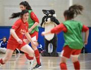 10 February 2016; The UL Wolves mascot looks on during the WSCAI Futsal Finals. University of Limerick, Limerick. Picture credit: Diarmuid Greene / SPORTSFILE