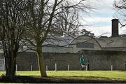 11 February 2016; Ireland's Sean O'Brien arrives for squad training. Carton House, Maynooth, Co. Kildare. Picture credit: Brendan Moran / SPORTSFILE