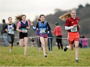 11 February 2016; Zara Foley, Ballincollig Community School, in action during the Junior Girls event. GloHealth Munster Schools Cross Country, Tramore Valley Park, Cork City. Picture credit: Seb Daly / SPORTSFILE