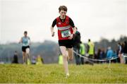 11 February 2016; Ted Collins, Glenstal Abbey School, on his way to winning the Minor Boys event. GloHealth Munster Schools Cross Country, Tramore Valley Park, Cork City. Picture credit: Seb Daly / SPORTSFILE