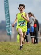 11 February 2016; Chris O'Reilly, Douglas Community School, on his way to winning the Junior Boys event. GloHealth Munster Schools Cross Country, Tramore Valley Park, Cork City. Picture credit: Seb Daly / SPORTSFILE