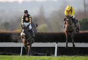 13 December 2009; Roberto Goldback, with Robert Power up, clears the last on their way to winning the Larry Rowan Memorial Beginners Steeplechase ahead of 2nd place Cousin Vinny, right, with Ruby Walsh up. Navan Racecourse, Proudstown, Navan, Co. Meath. Photo by Sportsfile       *** Local Caption ***