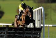 13 December 2009; Shinrock Paddy, with Alain Cawley up, jumps the last on their way to winning the Barry & Sandra Kelly Memorial Novice Hurdle. Navan Racecourse, Proudstown, Navan, Co. Meath. Photo by Sportsfile       *** Local Caption ***