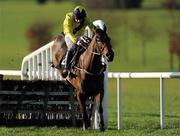 13 December 2009; Shinrock Paddy, with Alain Cawley up, jumps the last on their way to winning the Barry & Sandra Kelly Memorial Novice Hurdle. Navan Racecourse, Proudstown, Navan, Co. Meath. Photo by Sportsfile     *** Local Caption ***