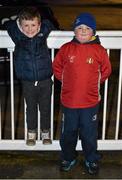 12 February 2016; Leinster supporters Harry Thorpe, age 8, and Adam Nolan, age 8, from Rathangan, Co. Kildare, at the game. Guinness PRO12, Round 14, Leinster v Zebre, RDS Arena, Ballsbridge, Dublin. Picture credit: Cody Glenn / SPORTSFILE