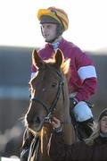 6 December 2009; Winds Of War, with Niall Madden up, on their way to the start of the Events @ Punchestown Maiden Hurdle. Punchestown Racecourse, Co. Kildare. Picture credit: Matt Browne / SPORTSFILE