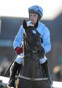 6 December 2009; Chellah, with Davy Condon up, on their way to the start of the Events @ Punchestown Maiden Hurdle. Punchestown Racecourse, Co. Kildare. Picture credit: Matt Browne / SPORTSFILE