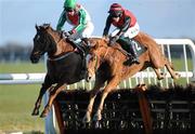 20 December 2009; Rigour Back Bob, right, with Andrew McNamara up, on their way to winning the Moycarkey Novice Hurdle from Mazara with Michael Darcy. Thurles Racecourse, Thurles, Co. Tipperary. Picture credit: Matt Browne / SPORTSFILE