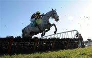20 December 2009; Chicago Gray, with Alain Cawley up, on their way to winning the Horse and Jockey Hotel Hurdle. Thurles Racecourse, Thurles, Co. Tipperary. Picture credit: Matt Browne / SPORTSFILE
