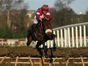 26 December 2009; Carlito Brigante, with Davy Russell up, clears the last on their way to winning the Inforthenight.ie Juvenile Hurdle. Leopardstown Racecourse, Dublin. Picture credit: Pat Murphy / SPORTSFILE