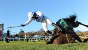 27 December 2009; Secant Star, with Ruby Walsh up, falls at the last after leading the field during the paddypowerbingo.com 3 Year Old Maiden Hurdle. Leopardstown Christmas Racing Festival 2009, Leopardstown Racecourse, Dublin. Picture credit: Matt Browne / SPORTSFILE