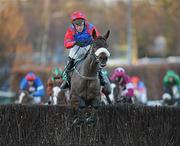 27 December 2009; Oscar Time, with Robbie Power up, clears the last on their way to winning the Paddy Power Steeplechase. Leopardstown Christmas Racing Festival 2009, Leopardstown Racecourse, Dublin. Picture credit: Matt Browne / SPORTSFILE